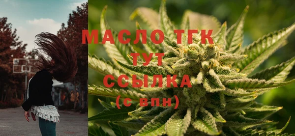 тгк Алексин