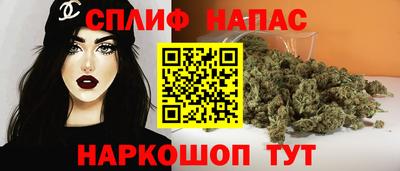 spice Гусев