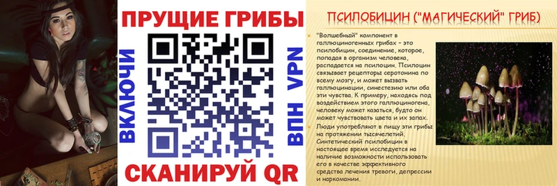 Псилоцибиновые грибы мухоморы купить наркотик Волхов