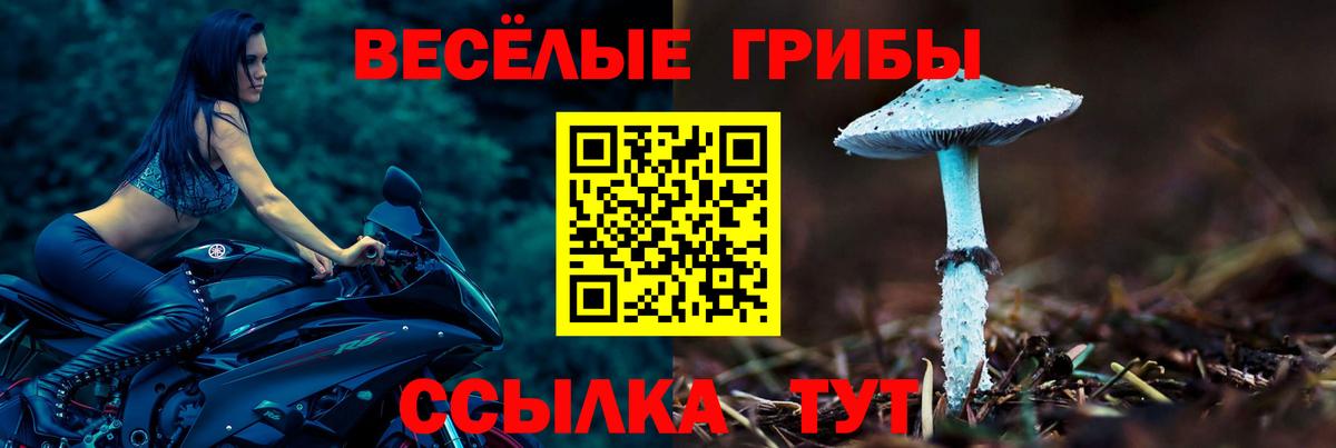 Галлюциногенные грибы мухоморы Волхов